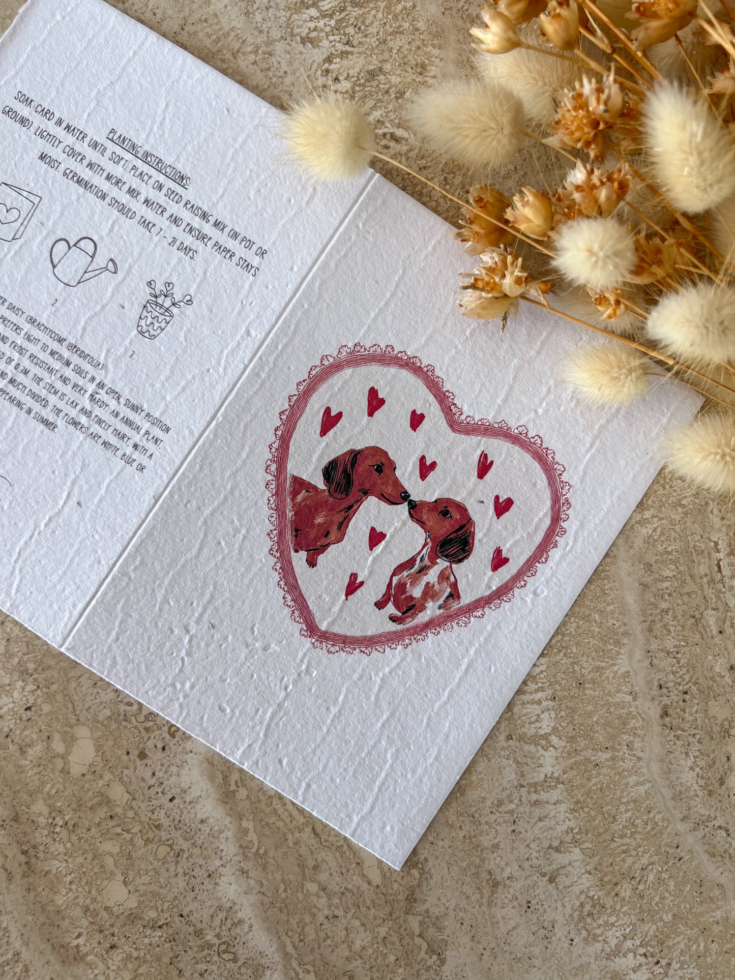 Greeting card with heart design and two dachshund dogs inside, surrounded by dried flowers on a textured surface, by Willow & Sage Co.