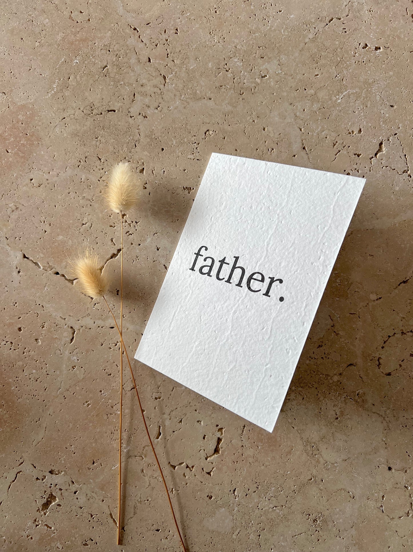 FATHERS DAY PLANTABLE GREETING CARDS