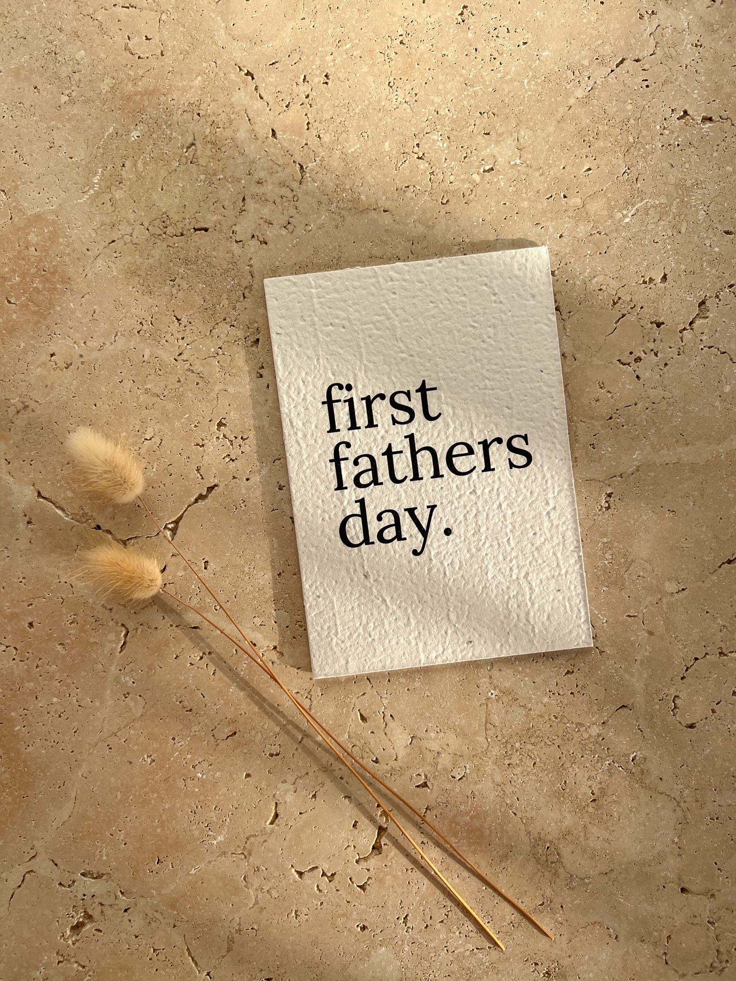 FATHERS DAY PLANTABLE GREETING CARDS