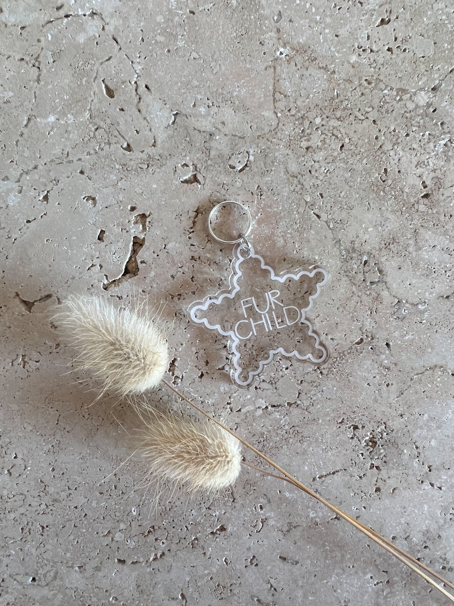 SCALLOP STAR DOG TAG ~ ACCESSORY CHARM