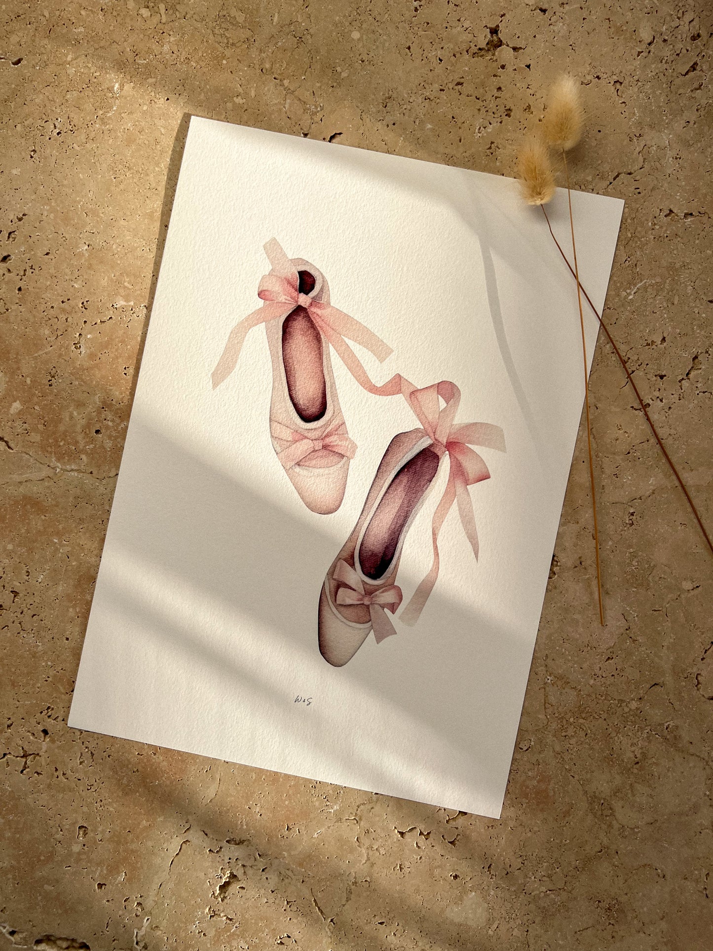 PINK BALLET PRINT COLLECTION