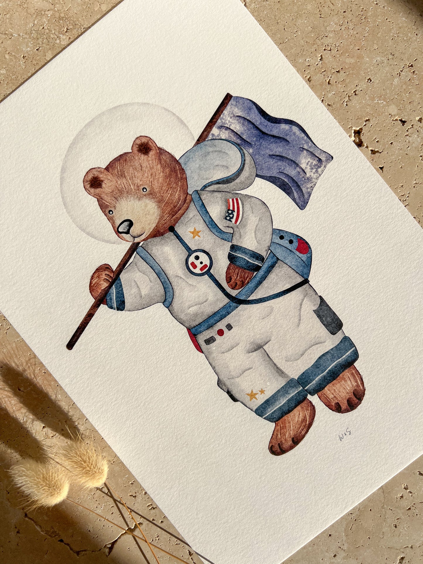 SPACE BEAR PRINT COLLECTION