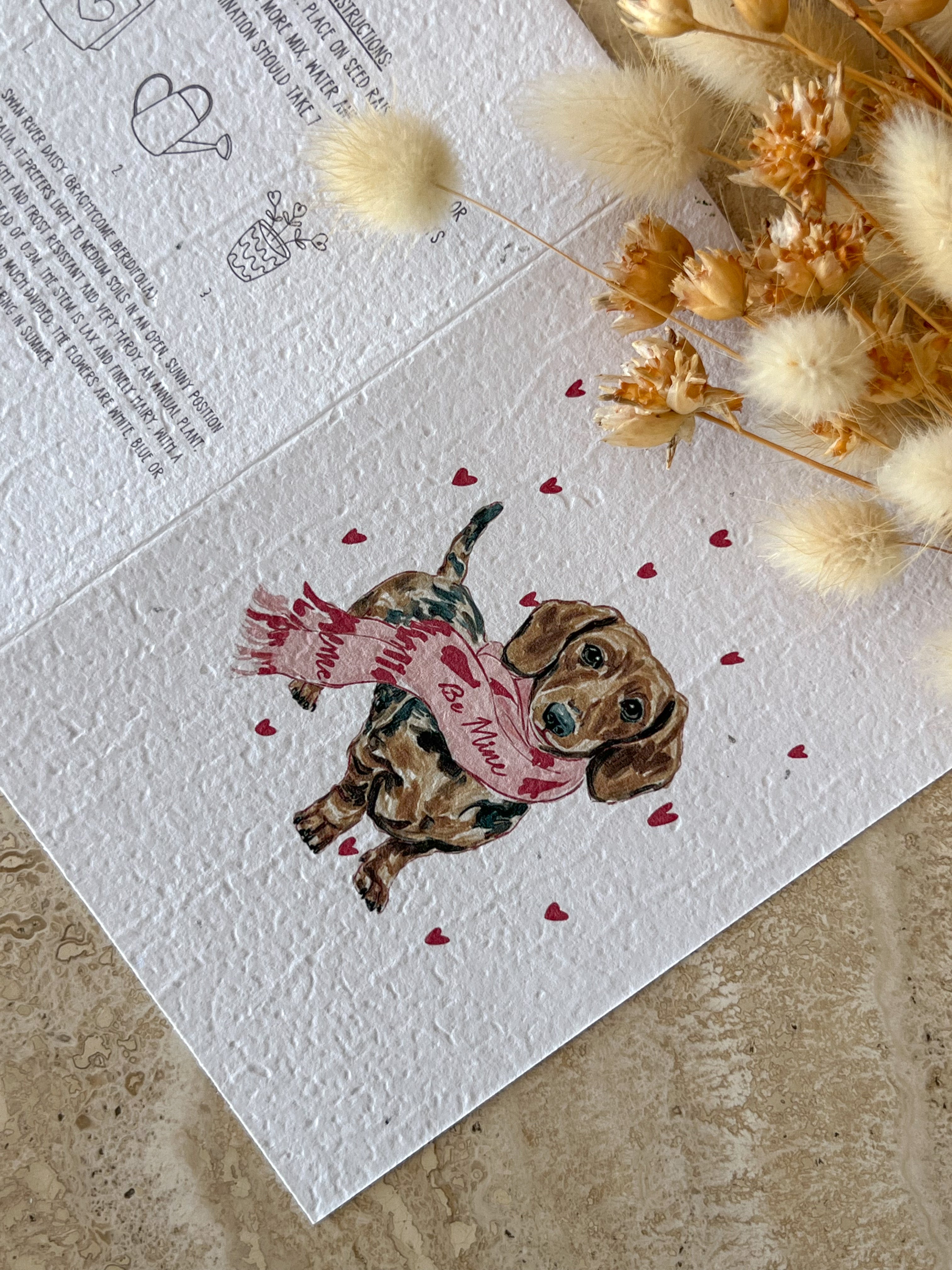 Hearts & Paws, Forever yours Dachshund "be mine" plantable greeting card by Willow & Sage Co.