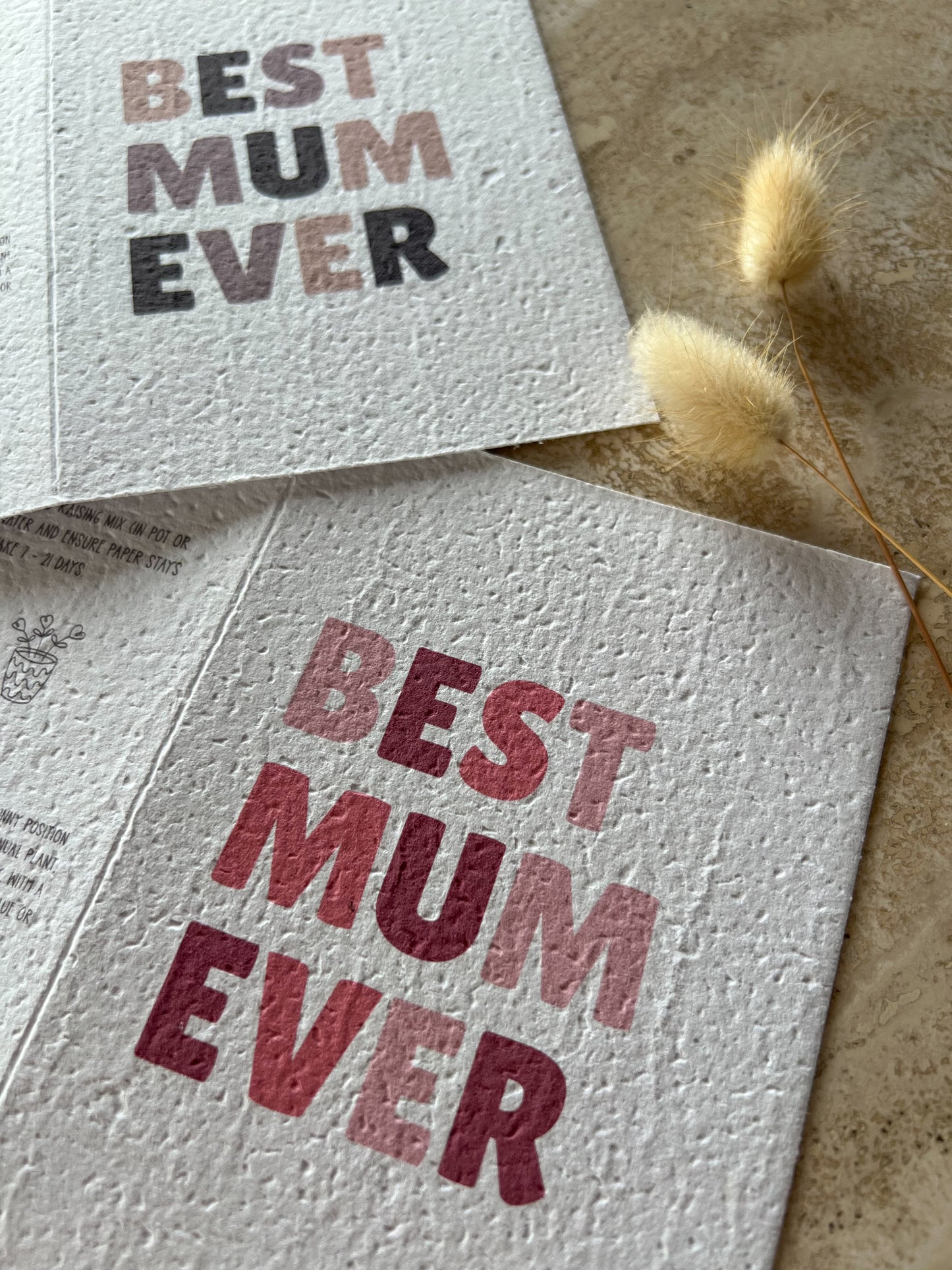 BEST MUM EVER PLANTABLE GREETING CARD BY WILLOW & SAGE CO