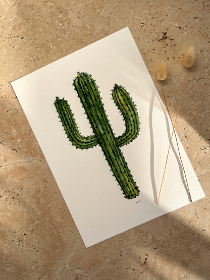 CACTUSPRINTBYWILLOW_SAGECO
