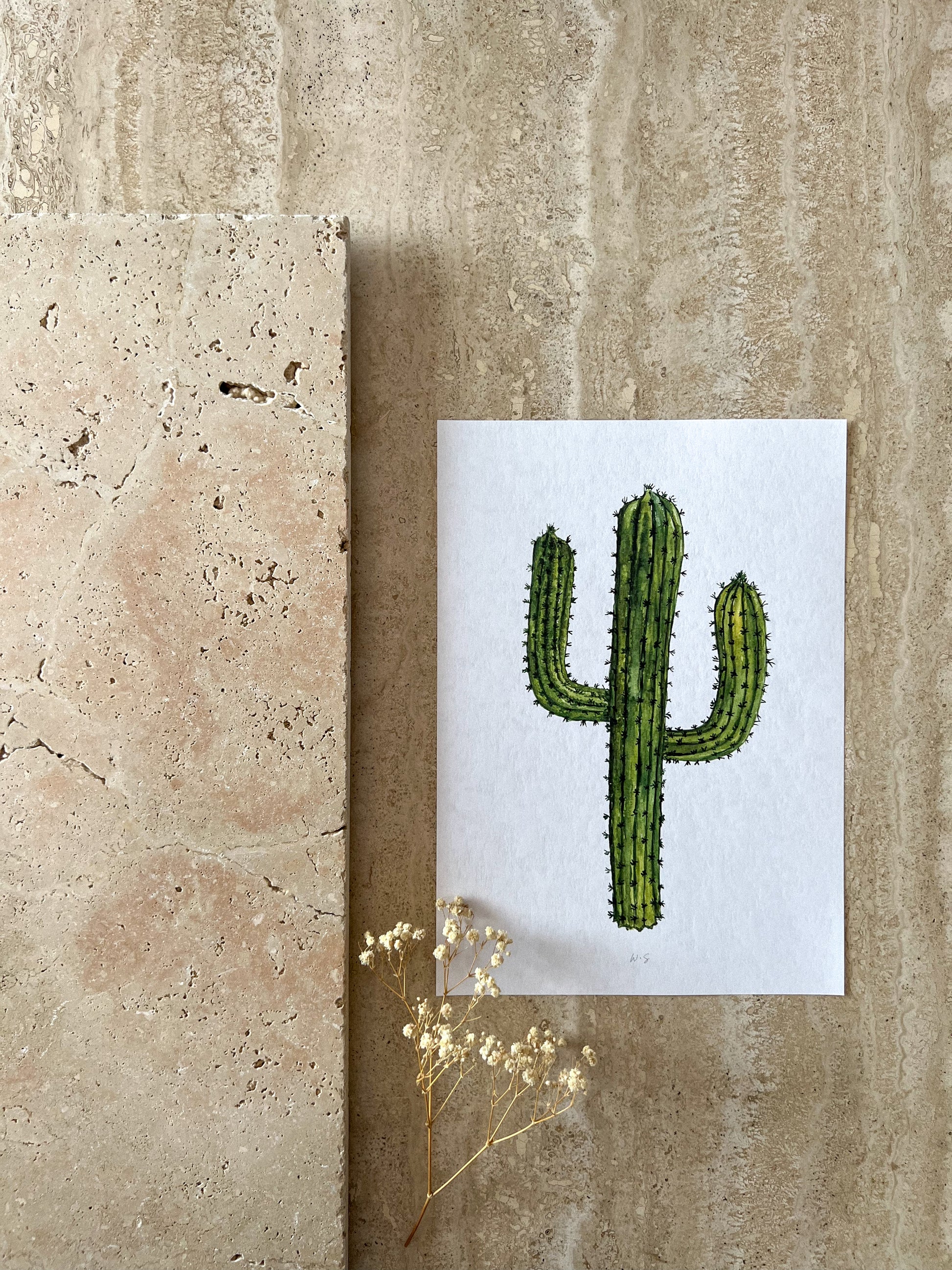 CACTUS WILD WEST PRINT COLLECTION BY WILLOW AND SAGE CO