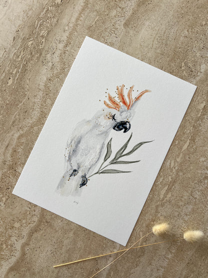 Australian cockatoo wall art print with eucalyptus leaves – native wildlife nursery decor