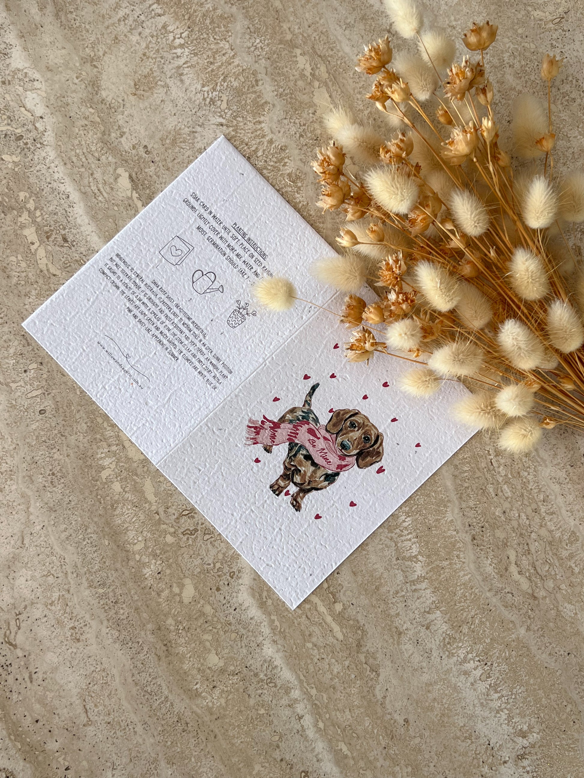 Hearts & Paws, Forever yours Dachshund "be mine" plantable greeting card by Willow & Sage Co.