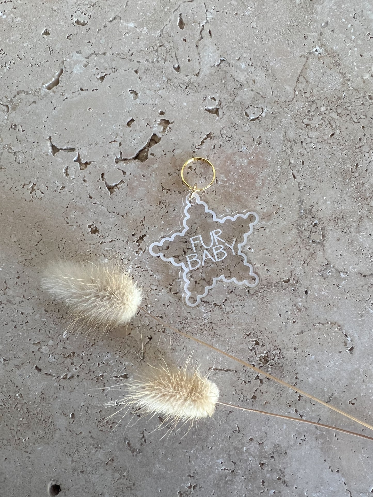 SCALLOP STAR DOG TAG ~ ACCESSORY CHARM