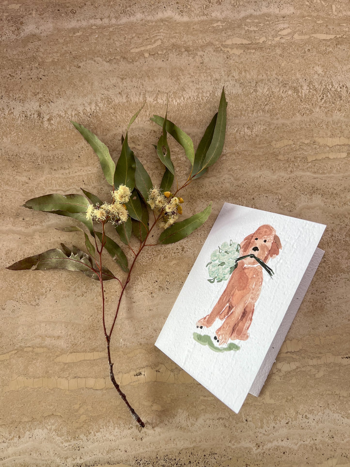 DOGS WITH FLOWERS PLANTABLE GREETING CARDS