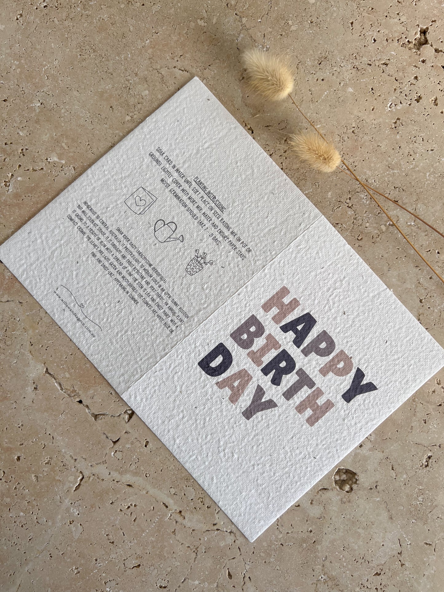 HAPPY BIRTHDAY PLANTABLE GREETING CARD BY WILLOW AND SAGE CO