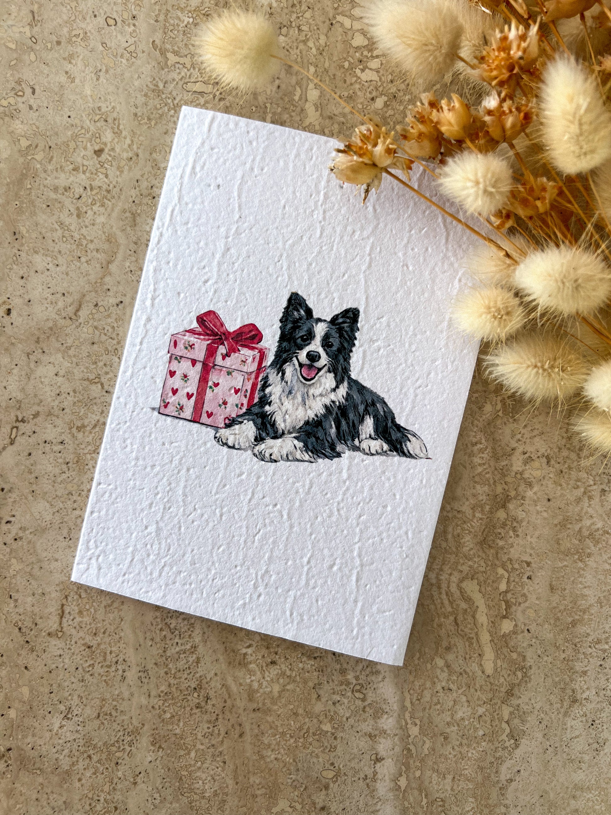Card with a Border Collie dog illustration and gift box on a textured surface with dried flowers, by Willow & Sage Co.