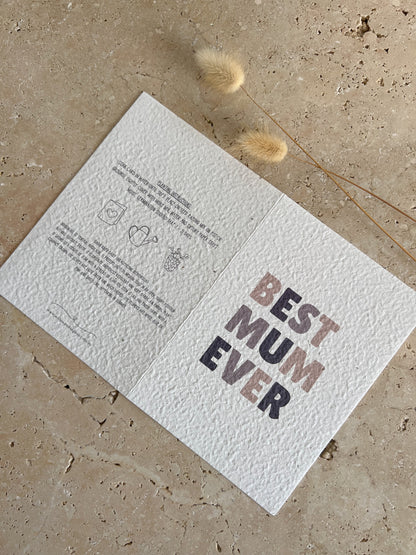 WORDED PLANTABLE GREETING CARDS