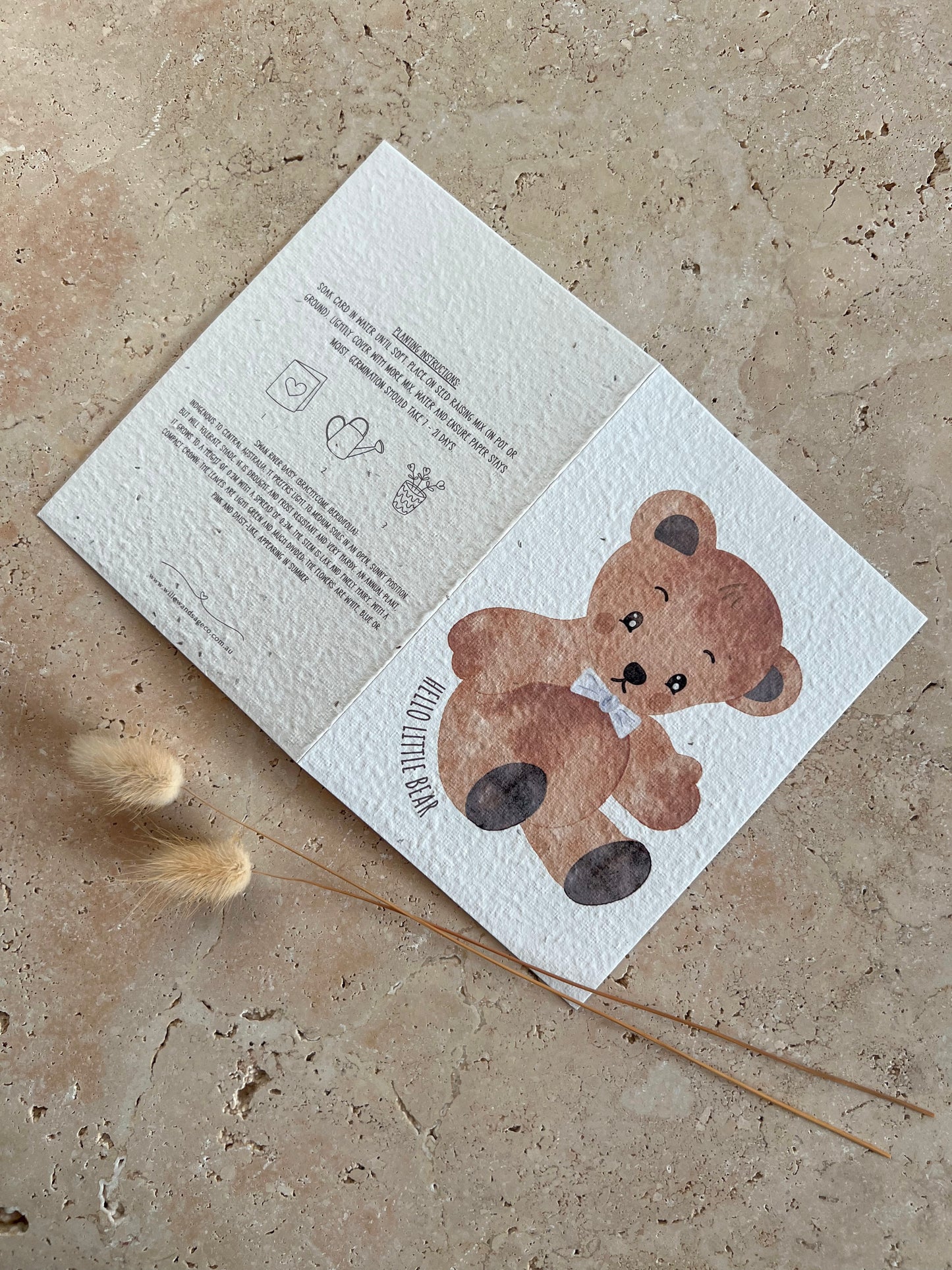 LITTLE BEAR BIRTHDAY PLANTABLE GREETING CARD
