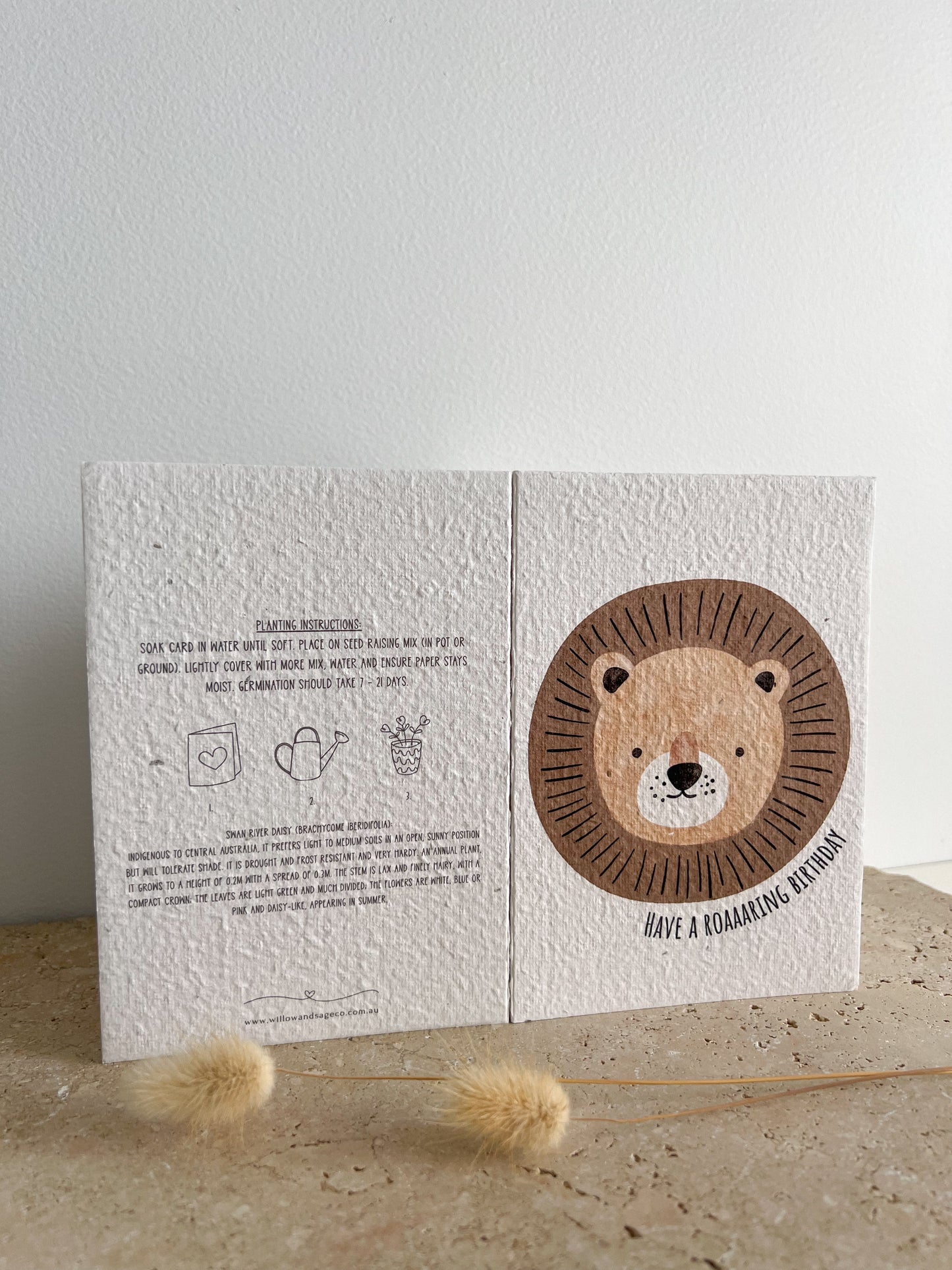 LION PLANTABLE GREETING CARD BY WILLOW AND SAGE CO