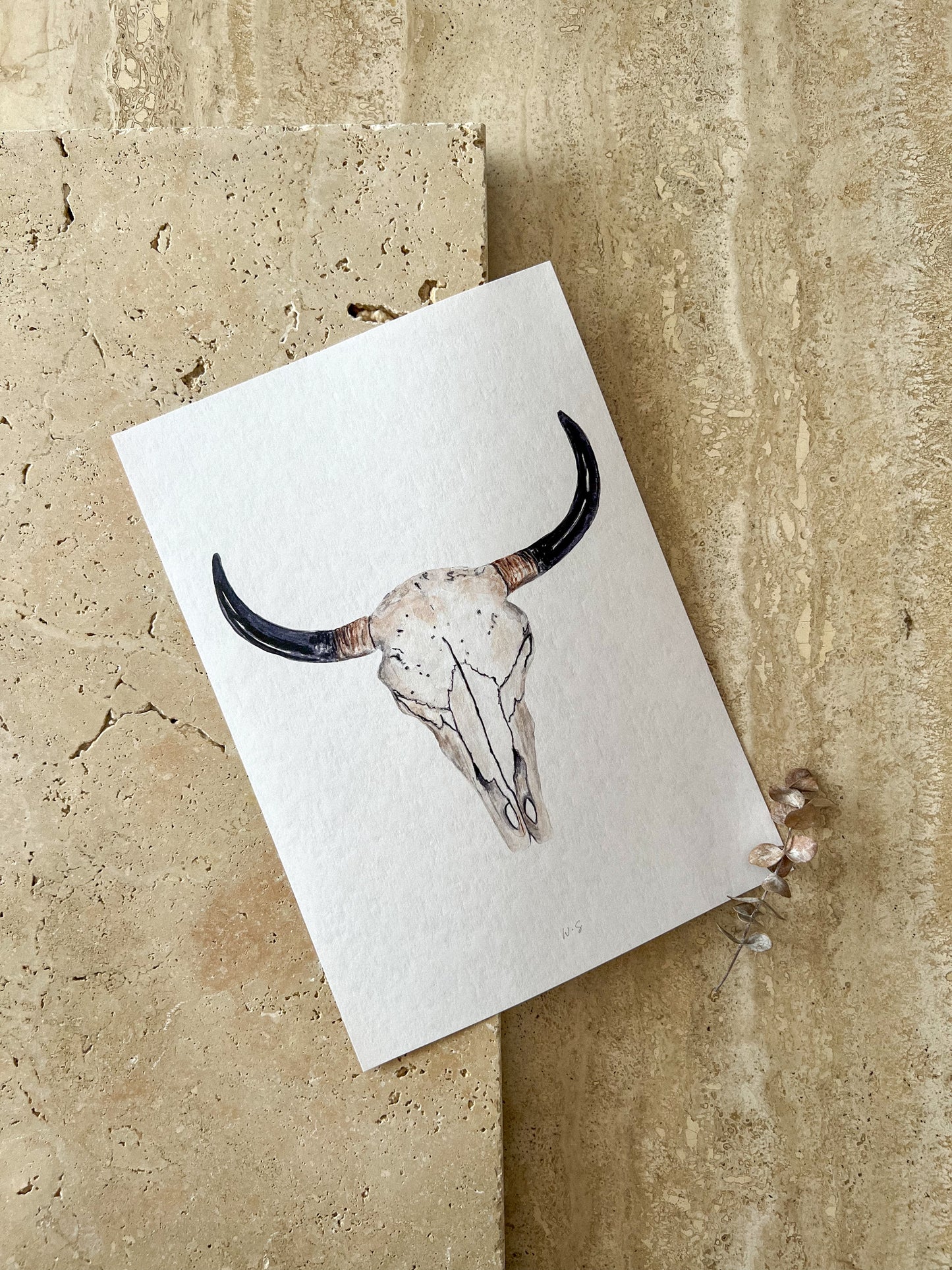 SKULL WILD WEST PRINT COLLECTION BY WILLOW AND SAGE CO