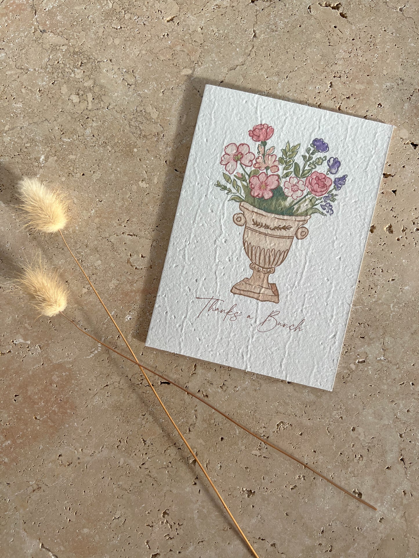 SUNDAY BRUNCH PLANTABLE GREETING CARDS