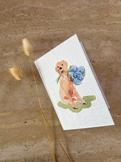 DOGS WITH FLOWERS PLANTABLE GREETING CARDS