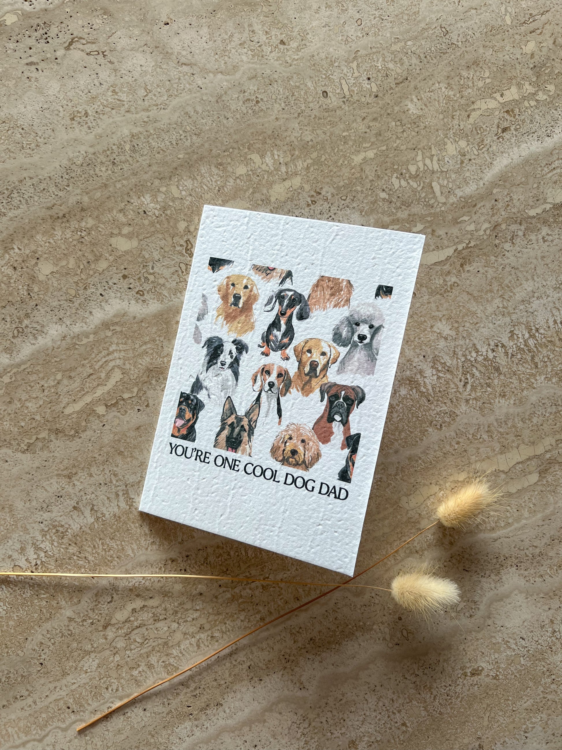 YOU'RE ONE COOL DOG DAD PLANTABLE GREETING CARD BY WILLOW & SAGE CO