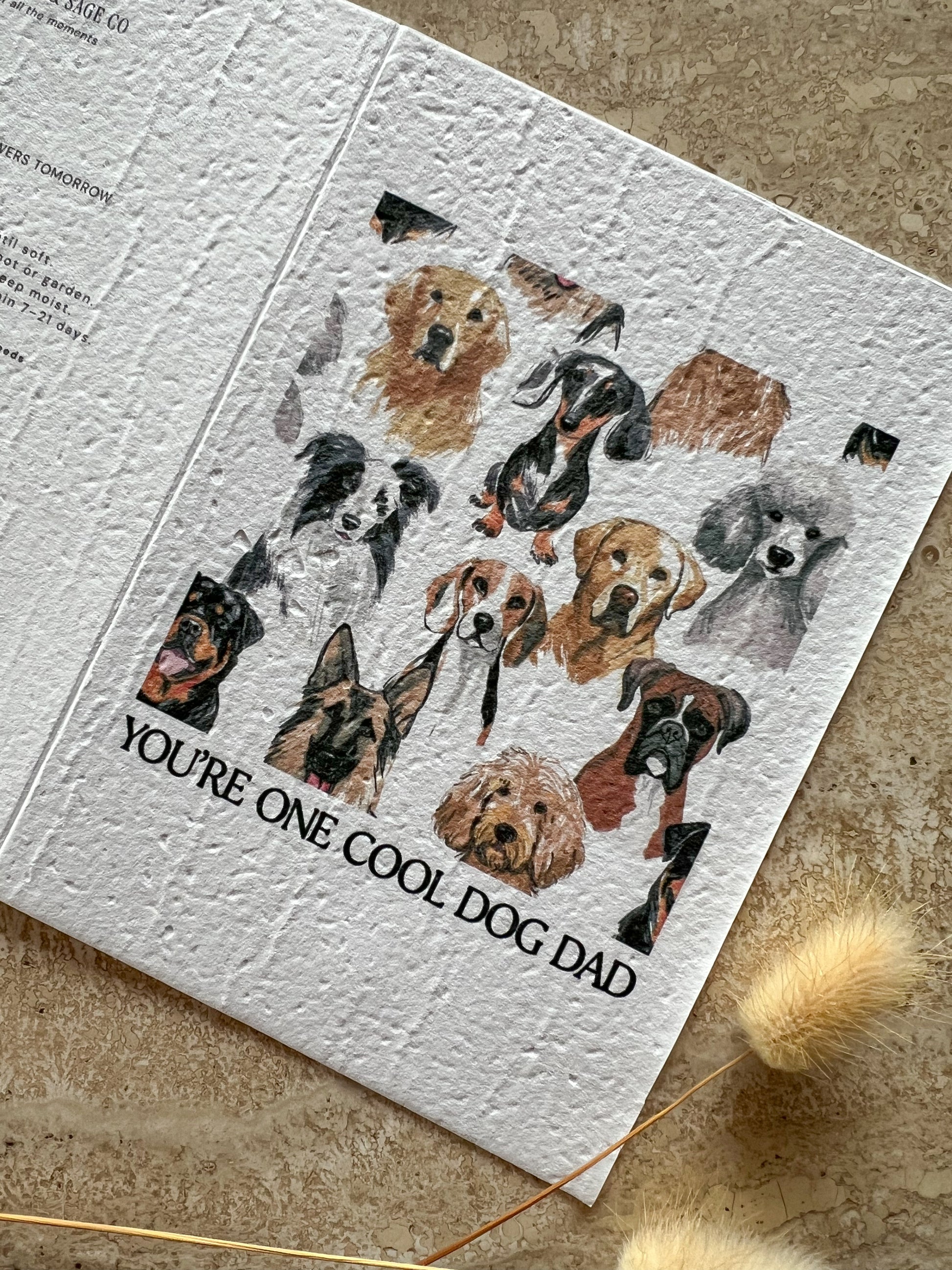 YOU'RE ONE COOL DOG DAD PLANTABLE GREETING CARD BY WILLOW & SAGE CO